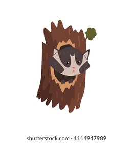 Cute raccoon sitting in hollow of tree, hollowed out old tree and cute animal cartoon character inside vector Illustration i on a white background