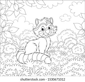 Cute raccoon sitting on grass among bushes and branches of trees on a forest edge on a beautiful summer day, black and white vector illustration in a cartoon style