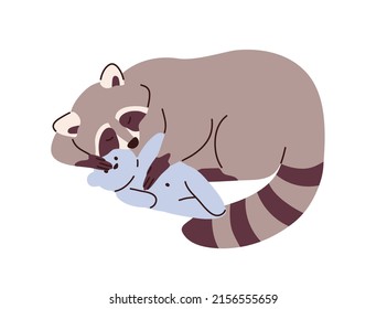 Cute raccoon sleeping, relaxing with soft toy. Sleepy racoon dreaming, napping with teddy bear. Adorable lovely sweet animal asleep. Flat vector illustration isolated on white background