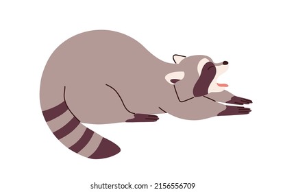 Cute raccoon stretching and yawning in funny pose. Adorable lazy sleepy relaxed racoon. Amusing careless sweet animal character. Flat vector illustration isolated on white background
