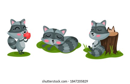 Cute Raccoon with Striped Coat Eating Apple and Sleeping Vector Set