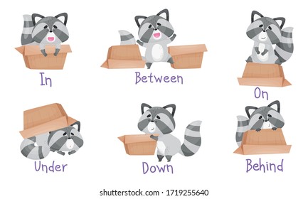 Cute Raccoon with Striped Tail and Carton Box as Prepositions of Place Demonstration Vector Set