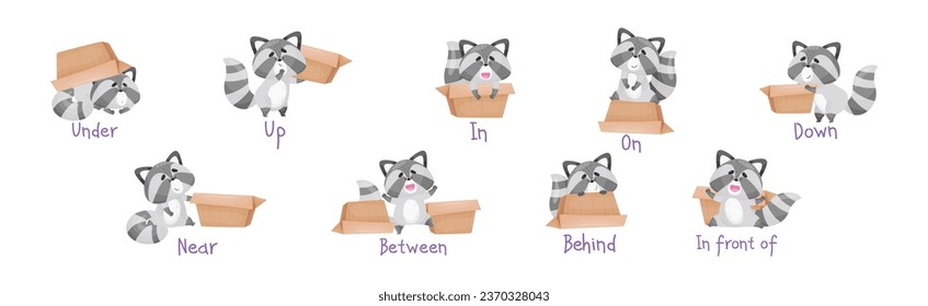 Cute Raccoon with Striped Tail and Carton Box as Prepositions of Place Demonstration Vector Set