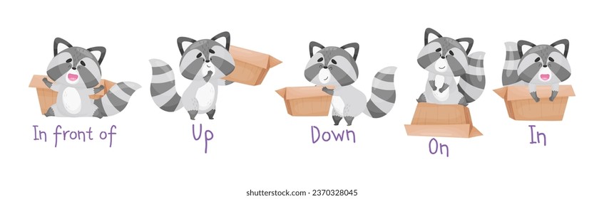 Cute Raccoon with Striped Tail and Carton Box as Prepositions of Place Demonstration Vector Set
