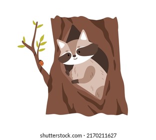 Cute raccoon in tree hole shelter  Forest animal watching for insect  ladybug branch  Coon inside trunk hollow  den home in woods  Flat vector illustration isolated white background