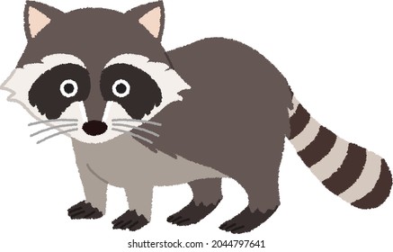 Cute raccoon. Vector animal illustration isolated on a white background.