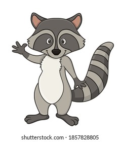 cute raccoon.  vector illustration character in cartoon style. isolated on white background