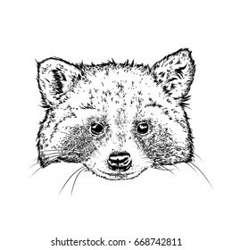 A cute raccoon. Vector illustration for a postcard or a poster, print for clothes. Wild animal in clothes.