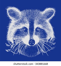 cute raccoon vector requests cuddle and snuggle