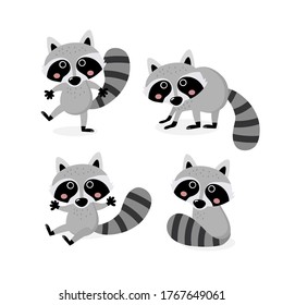 Cute raccoon vector set. Animal wildlife cartoon character.