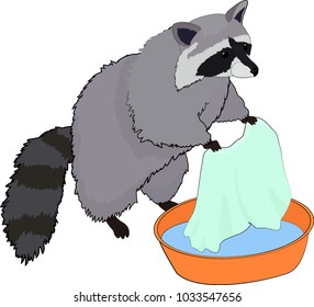 Cute raccoon washes clothes. Vector illustration.