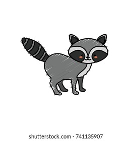 cute raccoon wild animal icon