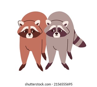 Cute raccoons couple portrait. Funny racoon friends of different fur color. Adorable lovely sweet grey and brown wild animals pair. Flat vector illustration isolated on white background