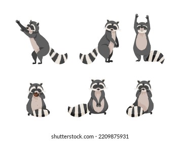 Cute raccoons set. Funny coon in everyday activities cartoon vector illustration