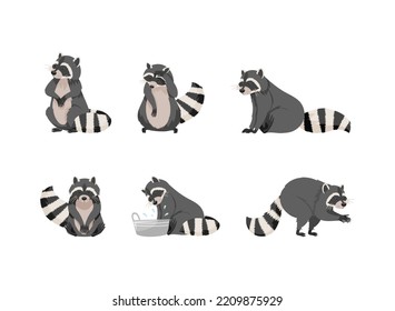 Cute raccoons set. Funny gray coon with striped tail in everyday activities cartoon vector illustration