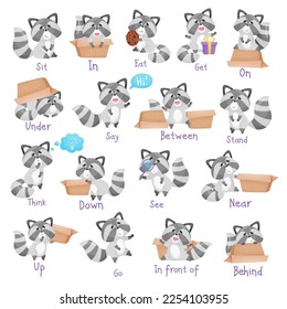 Cute Racoon Character with Striped Tail with Carton Box as English Word Demonstration Big Vector Set