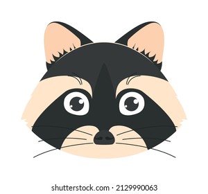 cute racoon face over white