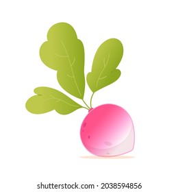 Cute radish vegetable healthy food vector illustration. Cartoon agriculture farm market or grocery store product for cooking veggies, healthy vegetarian meal, vitamin radish salad isolated on white