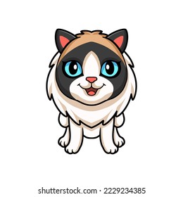 Cute rag doll cat cartoon