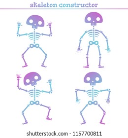 Cute rainbow human skeleton constructor for creating different poses.