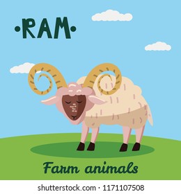 Cute Ram farm animal character, farm animals, vector illustration on field background. Cartoon style, isolated
