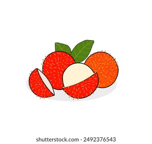 Cute Rambutan fruit vector design latest version. Realistic illustration in cartoon style. Exotic fruits from asia. Juicy, tasty. Summer. Hairy skin. ingredient. flesh. fruit logo, food icon. Unique