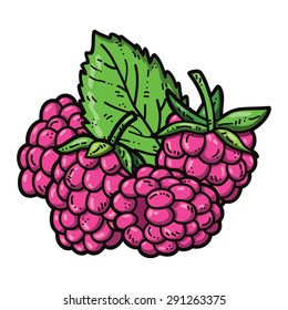 cute raspberries. Vector cute hand drawn colorful raspberries and leaf
