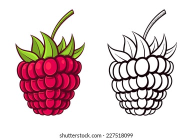 cute raspberry outline and color set vector illustration