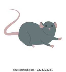 Cute Rat cartoon mouse vector
