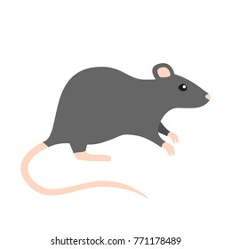 cute rat flat design icon isolated on white background