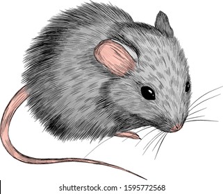 cute rat gray symbol of new year