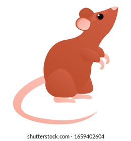 Cute rat icon. Cartoon of cute rat vector icon for web design isolated on white background