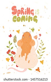 Cute rat. lettering spring is coming. Happy New Year and Merry Christmas.