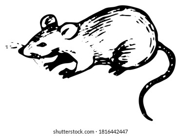 Cute rat single doodle. Simple vector hand drawn illustration. Rodent animal drawing isolated on white background. Black ink contour sketch element for design, print, card, decoration, poster, sticker