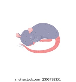 Cute rat sleeping, furry animal - cartoon flat vector illustration isolated on white background. Cheerful rodent animal. House or domestic rat.