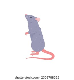 Cute rat standing, cartoon flat vector illustration isolated on white background. Cheerful furry rat with long tail. Rodent animal drawing. Domestic or house rat.