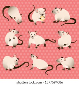 Cute Rat Various Poses Cartoon Vector Illustration