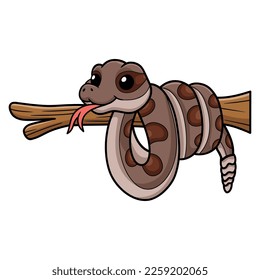 Cute rattlesnake cartoon on tree branch