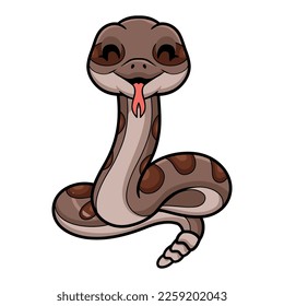 Cute rattlesnake cartoon on white background
