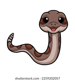 Cute rattlesnake cartoon on white background