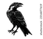 Cute raven on white background, hand drawn illustration