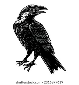 Cute raven on white background, hand drawn illustration