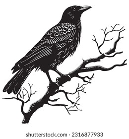 Cute raven, sitting on a tree on a white background, hand drawn illustration