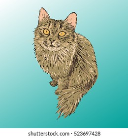 Cute realistic brown vector cat