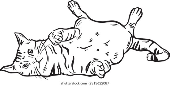 cute realistic cat laying pose