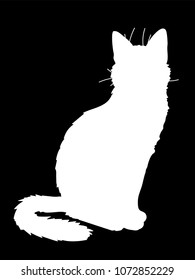 Cute realistic cat sitting. Vector illustration of silhouette of kitty. White figure on black background. Element for your design, print, sticker. Fluffy white cat.