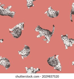Ilustración vectorial de gatos corta y realista,