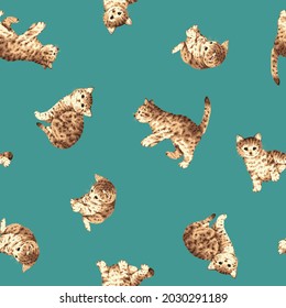 Cute and realistic cat vector illustration,