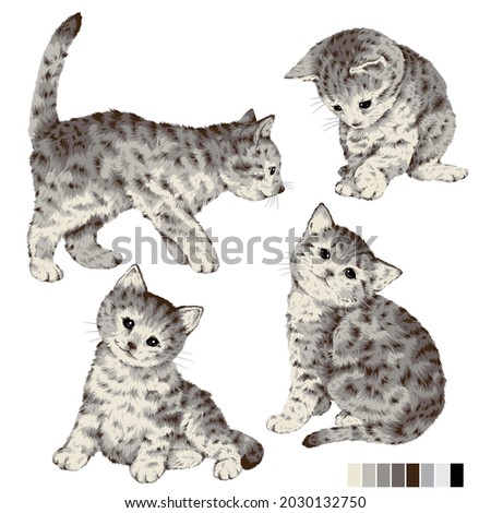 Cute and realistic cat vector illustration,