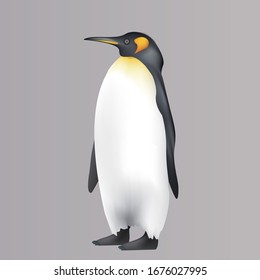 Cute Realistic Emperor Penguin illustration Aptenodytes forsteri Antarctica